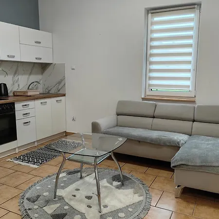 Starosadeckie Apartment Stary Sacz